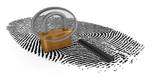 private investigator